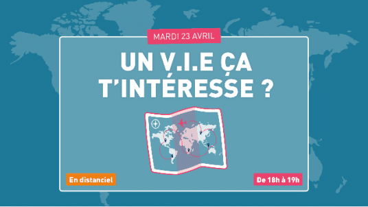 Un V.I.E ça t'intéresse ? Echange avec des diplômés !